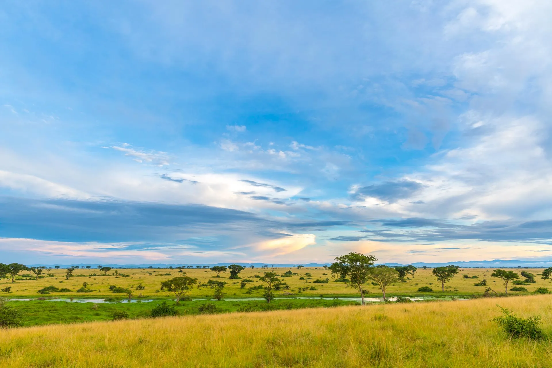 Itinéraire et budget d'un safari en Ouganda